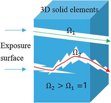 Coupled Transport of Sulfate and Chloride Ions With Adsorption Effect: A Numerical Analysis